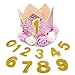 PET SHOW Pink Crown Dog Birthday Party Hat for Girls Reusable Birthday Party Cat Kitten Headband with 0-9 Figures Charms Grooming Accessories with Glue Pack of 1