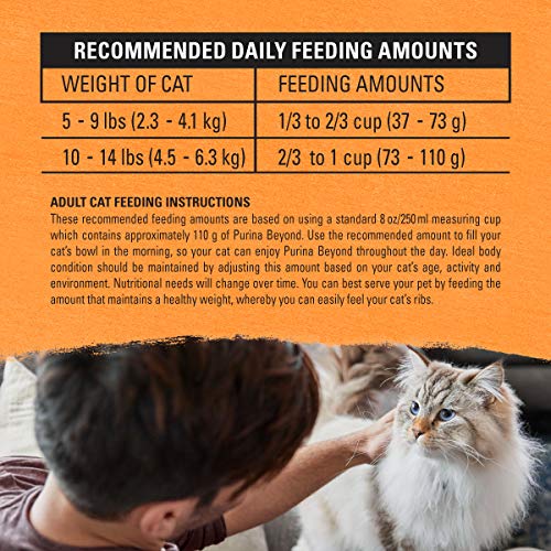 PURINA BEYOND GRAIN FREE WHITE MEAT CHICKEN AND EGG RECIPE NATURAL CAT FOOD HIGH PROTEIN CAT FOOD DRY FORMULA – 3 LB. BAG