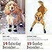 365 Dogs Page-A-Day Calendar 2019