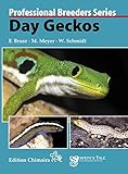 Gün Geckos (Profesyonel Damızlık Serisi)