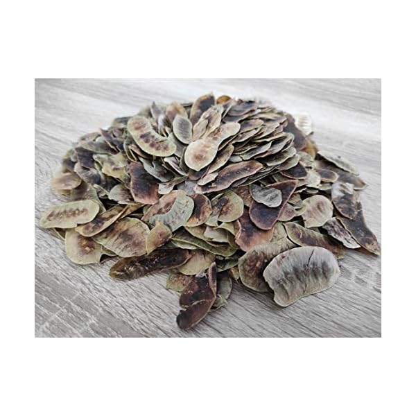 Getrocknete Senna Schoten Kräutertee 85g - 1,95 KG Prämie Qualität Senna Alexandrina (1950 gramm)