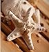 DZT1968(TM)1PC Women Girl Bride Shoot Daily Beach Wedding Party Starfish Headwear Hair Pin With Clip