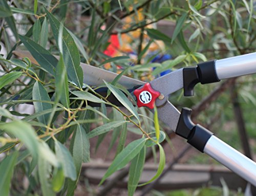 4 TABOR+TOOLS+Trimming+Clippers+Professional