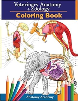 Amazon Com Veterinary Zoology Coloring Book 2 In 1 Compilation Incredibly Detailed Self Test Animal Anatomy Color Workbook Perfect Gift For Vet Students And Animal Lovers 9781914207105 Academy Anatomy Books