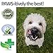 Vet Worthy Peanut Butter Enzymatic Toothpaste for Dogs - For Clean, Healthy Teeth and Gums - Freshen Dogs Breath - Peanut Butter Flavor - Made in the USA - Start Your Dog’s Dental Routine Today - 3oz