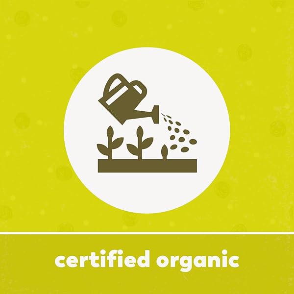 YUPIK ORGANIC GROUND BUCKWHEAT FLOUR 2.2 LB (35.2 OZ), USDA CERTIFIED, GLUTEN-FREE, RAW, VEGAN, KOSHER, NON-GMO, FINELY GROUND, IDEAL FOR BAKING, BATTERS, & COOKING