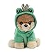 Gund Itty Bitty Boos Prince #47, Princess #46 and Frog #48 Fairy Tale Magic Special Set of 3 Plush 5