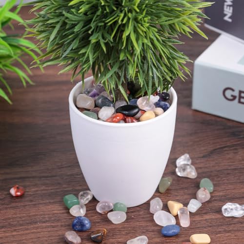 FUTUREPLUSX 1LB Quartz Stones Assorted, Natural Rocks Tumbled Gemstones 0.3-0.4inch Tumbled Chips for Home Decoration Vases Reiki Meditation