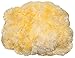 Chanasya Premium Wolf Faux Long Fur Throw Blanket - Soft, Fuzzy Throw Blanket - for Bed or Couch - 50