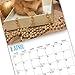2020 Kittens Wall Calendar by Bright Day, 16 Month 12 x 12 Inch, Cute Cat Kitty Animals Feline