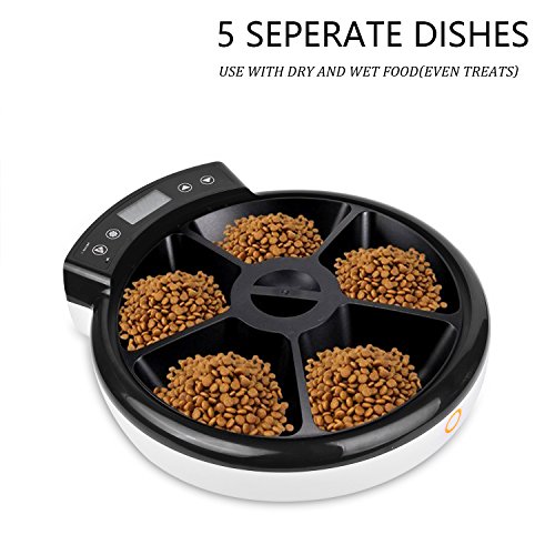 70 Off Automatic Pet Feeder For Dogs Cats With Voice Reminding