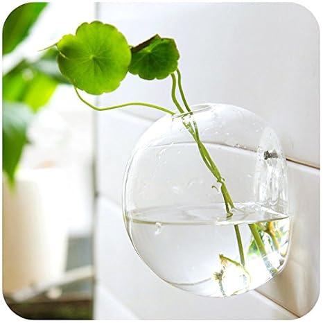 Buy Home Decoration Wall Hanging Decorative Glass Vases Fish Bowl