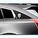 Quentacy 2-Pack Skull Punisher Emblem Badge 3D Metal Sticker Decals for Cars Trucks Motorcycle Vehicle Luggage Laptop Tablets (Silver)