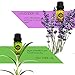 MASEN Aromatherapy Essential Oil Set for Diffuser Popular Fragrance Oils Blends (Lavender, Rose, Lemon Grass, Sweet Orange, Tea Tree, Peppermint) Long Lasting Scents 6 * 10ml
