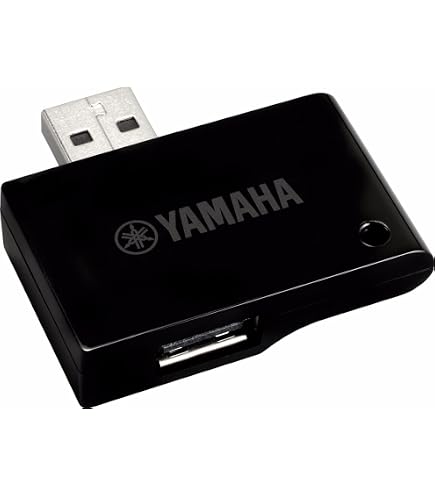 Amazon.com: Roland WM-1D Low-latency wireless MIDI USB dongle for