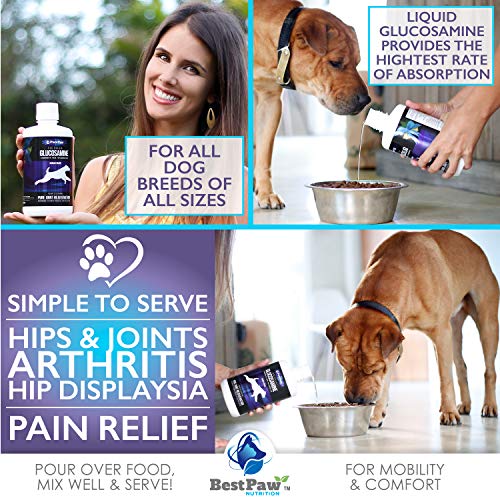 Best Paw Nutrition Liquid Glucosamine Chondroitin for Dogs Hip