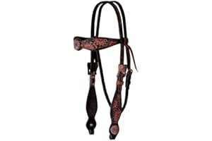 Circle Y 5/8in Sunflower Browband Headstall