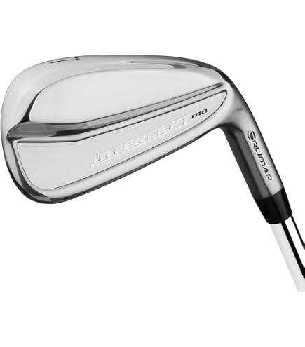TaylorMade TAYLOR MADE P790 Iron N.S.PRO MODUS3 TOUR 105 Steel