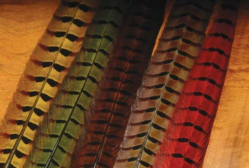 Wapsi Fly Ringneck Pheasant Tail Feathers-Bleached Ginger