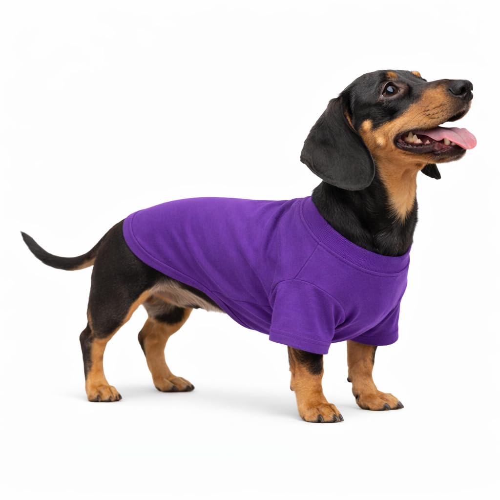 Lovelonglong Pet Clothing Dog Costumes Dachshund Clothes Blank T-Shirt Tee Shirts for Dachshund Dogs,Corgi 100% Cotton Purple D-L