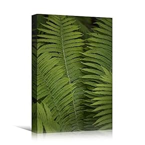 signwin Canvas Wall Art Leaves Arrangement Abstract Colorful...