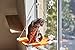 Cat Window Perch Hammock | Removable Cotton Canvas Hammock| Free Adjustable Cat Collar| Rated 40lbs| 2 Extra Suction Cups| Thick Stainless Steel Cables With Soft Rubber Protection