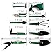 xderlin Garden Tools Set,12 Piece Gardening Gifts Stainless Stee Garden Tool Set with Storage case -Garden Gifts for Men & Women(12 Pieces-Green)thumb 1