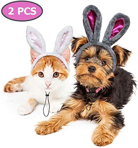Best Pet Store And Best Locally Owned Store P C S Pantry For Dogs And Cats Broomfield Enterprise