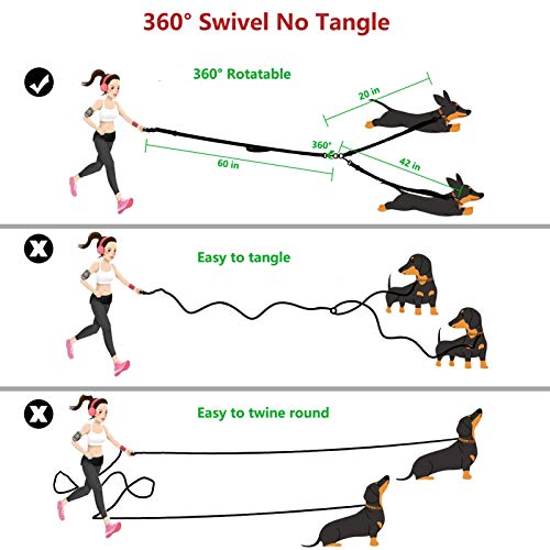 Dual Dog Leash Double Dog Leash, Multifunctional Detachable Leash for 1 or 2 Dogs, No Tangle Shock Absorbing Bungee Walking Lead with Two Handles Bonus Funny Waste Bag Dispenser for Dogs Up to 180lbs