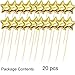 20Pcs Cupcake Toppers Muffin Decor Gold Glitter Star Cupcake Toppers Fun Cake Toppers Picks Mini Birthday Cake Decor Shiny Color Sticks for Baby Boys Girls Kids Birthday Party and Wedding Supplies