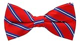 Scott Allan Mens Silk Twin Stripe Bow Tie