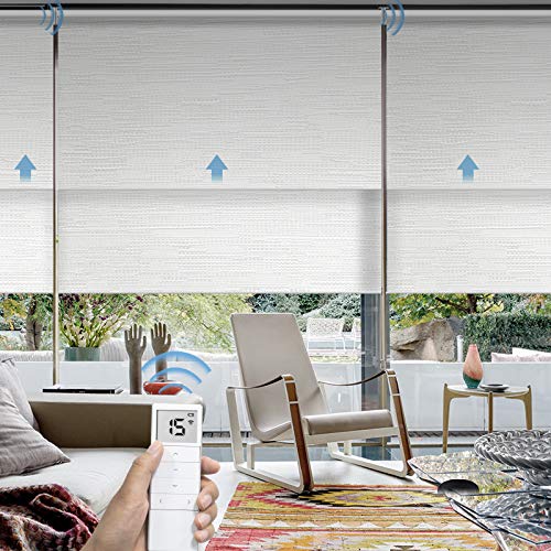 Graywind Motorized Dual Shades Smart Double Blinds Blackout and Light