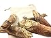 4 Directions Bushcraft Fatwood Pine Lighter Missouri Harvested Natural Waterproof fire Starting Pine Tinder Raw unprocessed