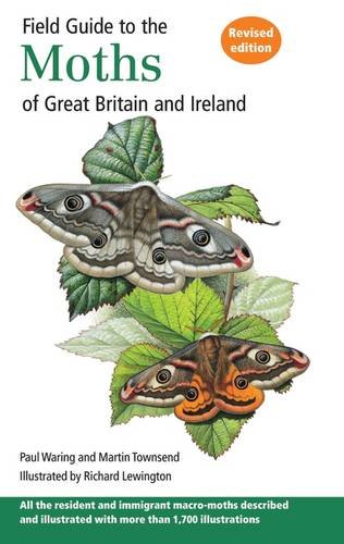 Field Guide to the Moths of Great Britain and Ireland