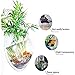 Tfwadmx Wall Fish Bowl, Hanging Wall Mounted, Fish Bubble Wall Mount Aquarium Acrylic Fish Tank, Betta Fish Bowl Plant Pot Flowerpot (White)