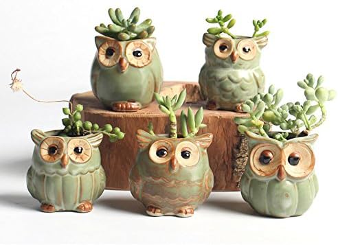 NOVMAY 2.5 Inch - Mini Vintage Owl Ceramic Succulent Plant Pot Planters Flower Pot Container (Dark color (Set of 5 pcs))