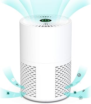Himox Mini Luftreiniger Allergie Fur Wohnung Gegen Keime Staub Allergien Pollen Und Tierhaare Amazon De Baumarkt
