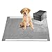 GOBUDDY Pet Training Puppy Pads with Odor Reducing Super Absorbent Activated Carbon for Cats and Dogs - Pack of 100