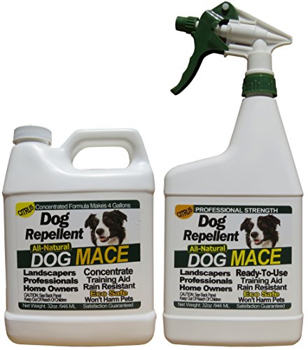 Nature’s MACE Dog Repellent 32oz Ready-to-Use Plus 32oz Concentrate