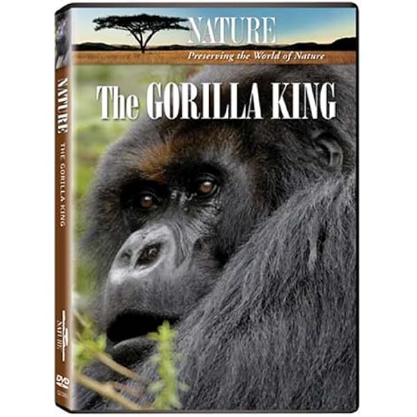 Amazon.com: Mountain Gorilla (DVD) : Rebecca Jenkins, Adrian