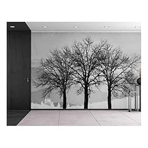 Black and White Winter Trees on a Graphic Background - Contrast Photo Montage Wall Decor - Wall Mural, Removable Sticker, Home Decor - 66x96 inches