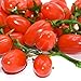 Hagao Fake Cherry Tomatoes Artificial Fruit Plastic Lifelike Simulation House Kitchen Decoration (15 Grain)