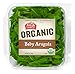 Organic Baby Arugula, 5 oz Clamshell
