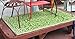 Fab Habitat Outdoor Rug - Waterproof, Fade Resistant, Crease-Free - Premium Recycled Plastic - Floral - Porch, Deck, Balcony, Laundry Room, Patio - Murano - Lime Green & Cream - 3 x 5 ft
