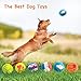 HOLYSTEED Squeaky Dog Balls Soft Latex Squeaky Dog Toy Fetch Play Balls Toy for Small Medium Pets