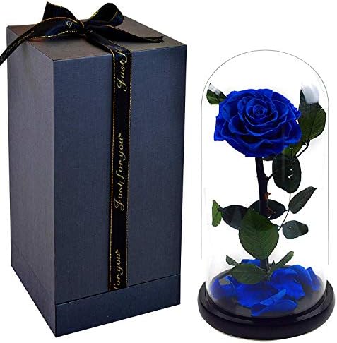 Preserved Real Rose with Fallen Petals in Glass Display Dome, Beauty and The Beast Rose Eternal Flower with Gift Box, Handmade Forever Gift for Anniversary Birthday Mother's Day Valentine's Day (Blue)