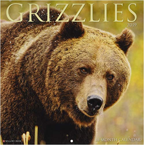 Grizzlies 2019 Wall Calendar Grizzlies 2019 Wall Calendar