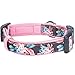 Blueberry Pet 6 Patterns Soft & Comfy Welcoming Spring Rose Flower Prints Girly Padded Dog Collar, Small, Neck 12