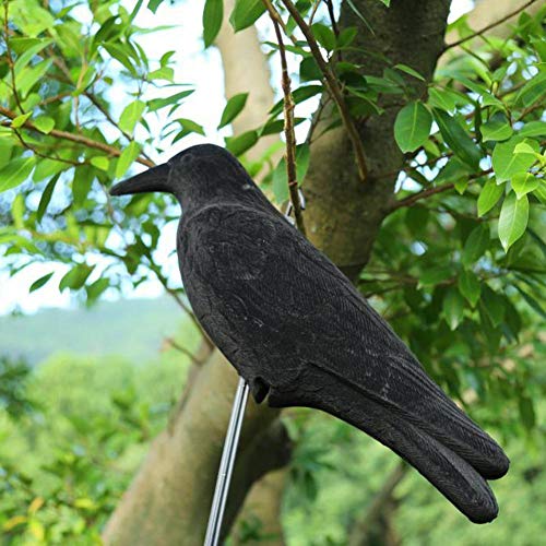 New-look Crow Decoy Hunting Garden Flocked Hard Plastic Jet Black Crow Decoy Hunting Stand Body Feet Stake
