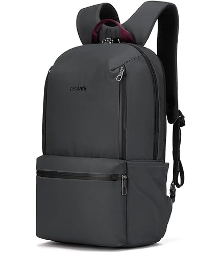 Amazon.com: Pacsafe Vibe 40 Liter Anti Theft Carry-On Backpack
